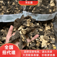 微破羊肚菌干货云南特产干货 250克一袋菌菇煲汤火锅食材工厂货源