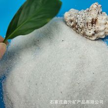 供应各种规格白沙子 景观园林雪花白砂子 沙滩高尔夫球场用石英砂