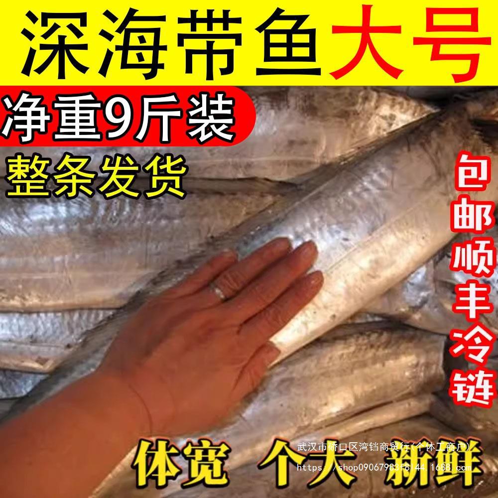 整条海鲜水产大白刀鱼带鱼鲜活捕捞大带鱼新鲜冷冻钓带整箱-阿里巴巴