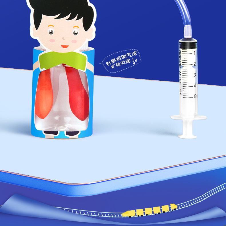 diy幼儿园膈肌运动模型教具简易模拟人体肺呼吸运动学生实验材料