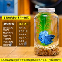 创意水族箱微景观生态瓶造景斗鱼缸办公桌面生态缸DIY造景鱼缸