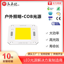 户外COB光源 大功率集成LED 20W-50W 高光效 高显指 倒装芯片