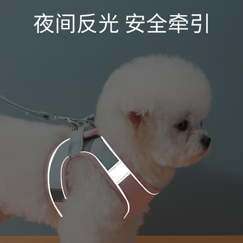 Cross-Border Pet Hand Holding Rope Vest Cat Universal Chest Strap Dog Chain Dog Supplies Walking Cat Dog Leash