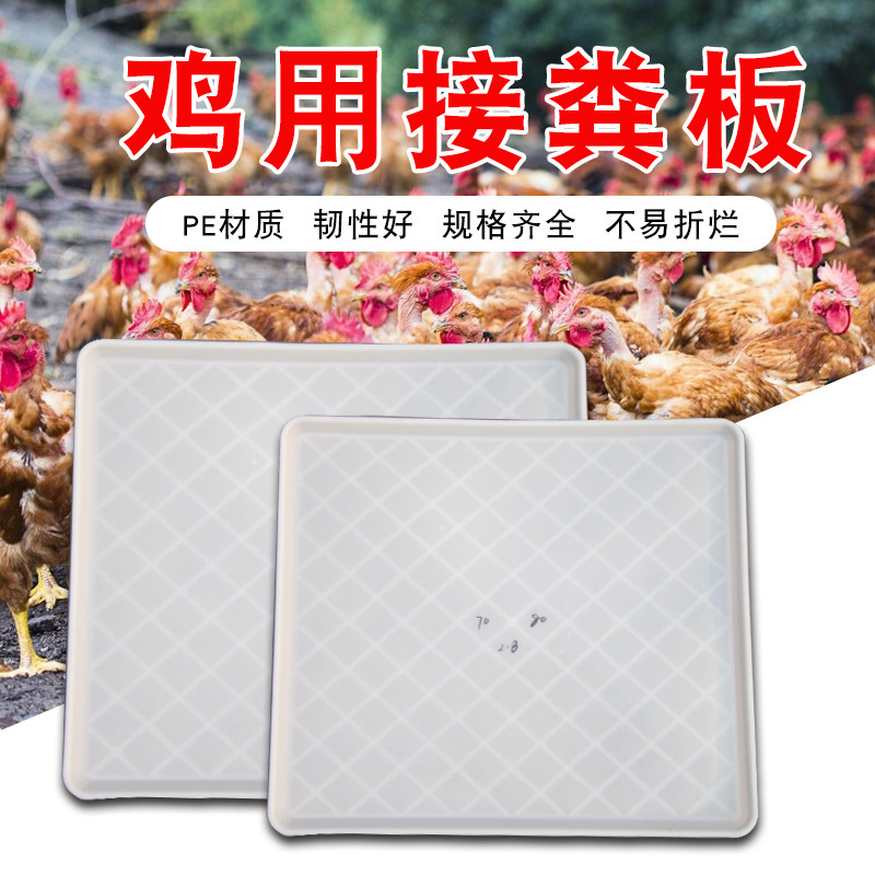 鸡用塑料接粪板养殖专用加厚接粪盘鸡兔鸽笼子托粪盘自动清粪