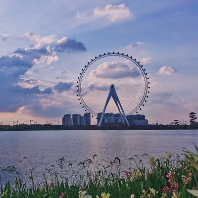 项目四:合肥祥源花世界135米摩天轮