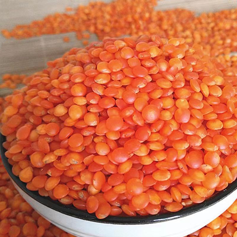当季新货红扁豆小扁豆子马粟豆农家自产五谷杂粮大量现货一件代发