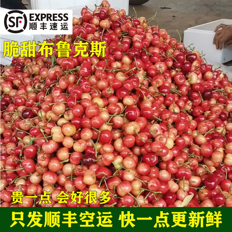 顺丰空运 陕西酸甜美早布鲁克斯樱桃水果车厘子露天樱桃2/3/5斤