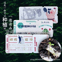 种子纸门票可发芽可降解环保创意邀请函婚礼礼品景区活动入场券