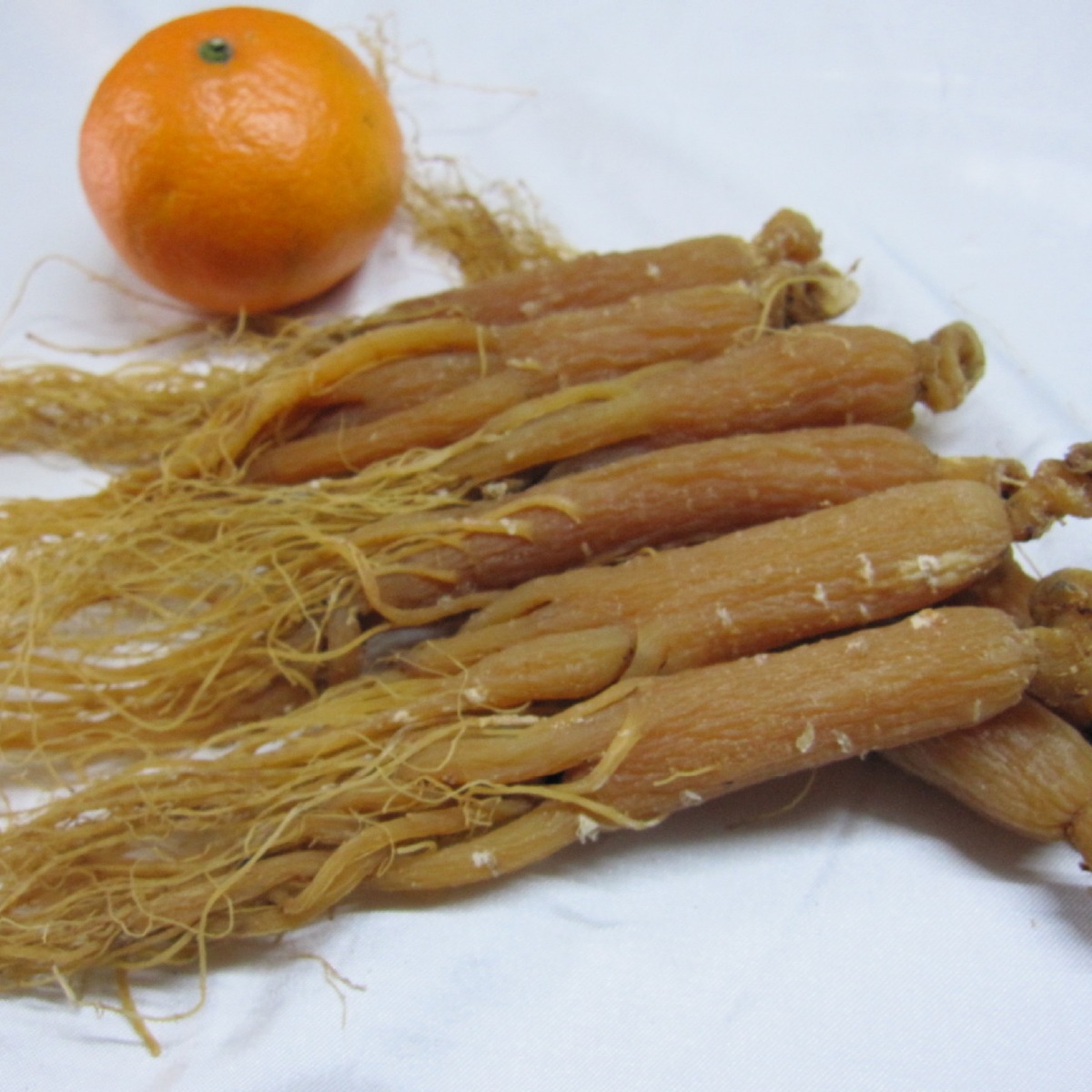 长白山红参 人参吉林批发 高丽参农产品高丽参一件代发礼盒500克