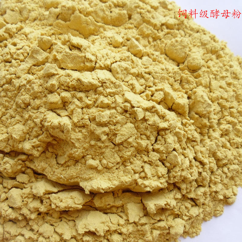 供应酵母粉 价格低 质优价廉  可订货货源充足