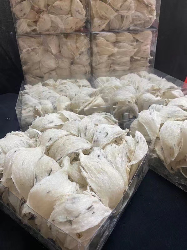 储存条件冷藏燕窝品质金丝燕产品类别干燕窝燕窝形状燕盏燕窝颜色白燕