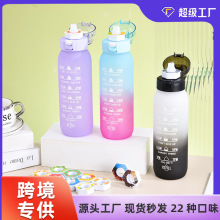 airup跨境直供香味杯塑料杯水果气味运动水杯吸管水壶waterbottle