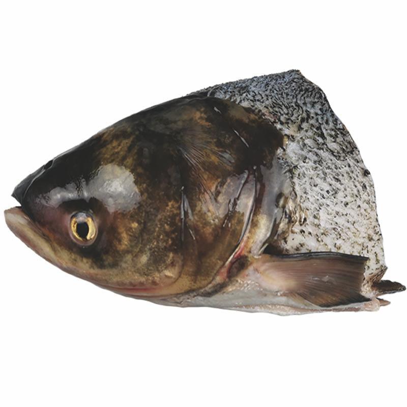 2只包邮花鲢鱼胖头鱼头大头鳙鱼鱃鱼黑鳙头鲢鱼淡水鱼免清理
