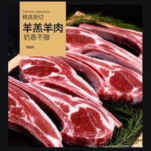 蒙古商用新鲜小羊肉战斧烤肉原切法式烧烤食材半成品羊排斤羊排5