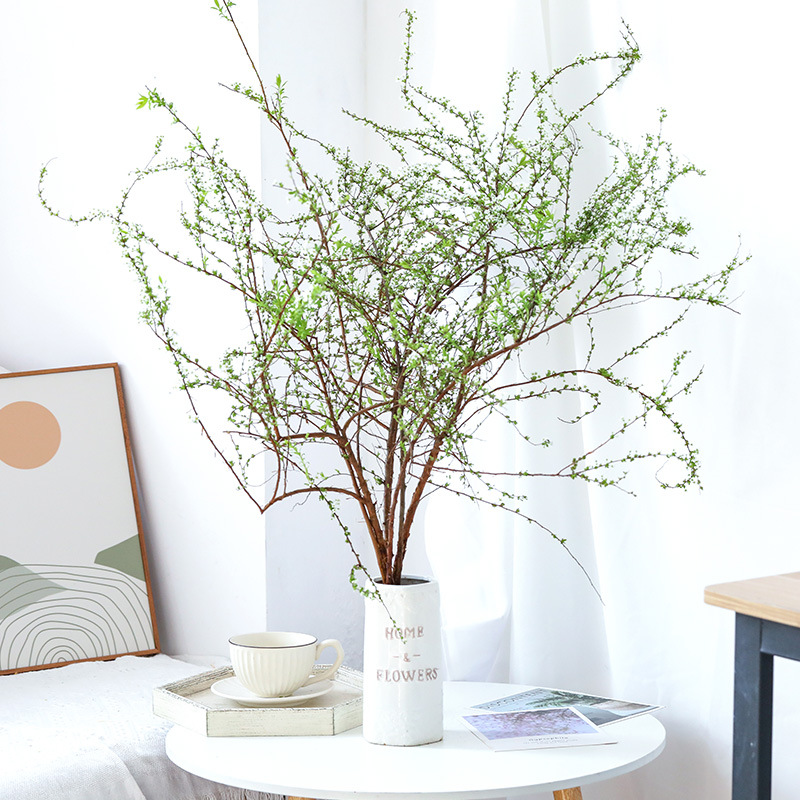 雪柳干鲜枝珍珠李小手球鲜花云南直发家用办公室插花水培鲜切花