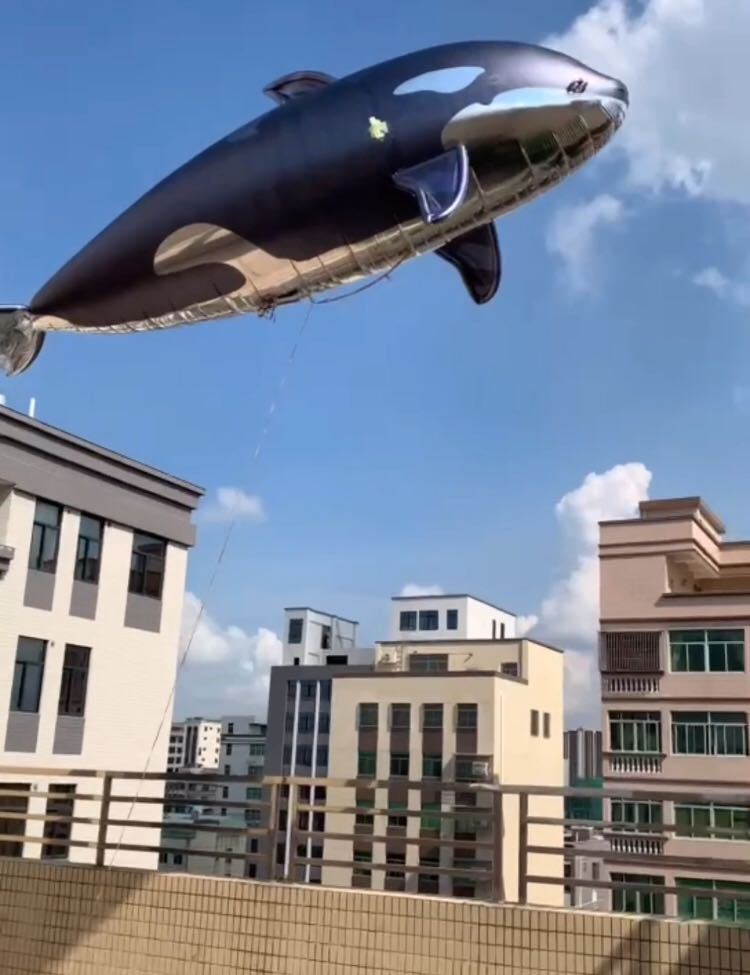 软体飞行海豚商场酒吧巡游舞台表演互动气氛道具遥控充气虎鲸气模