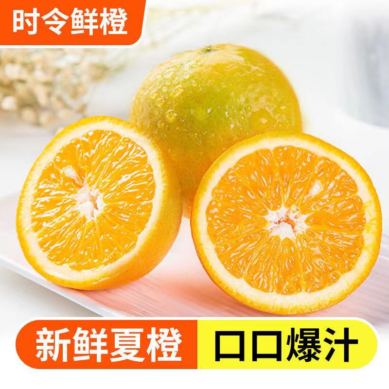 四川高山夏橙一件代发5斤10斤 当季水果新鲜橙子脐橙产地直发批发