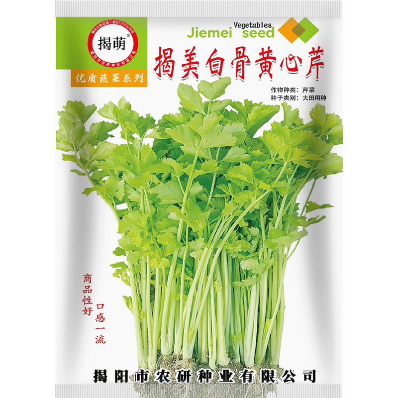 揭萌香芹菜种子白骨黄心芹菜 小香芹籽  阳台盆栽易种蔬菜种子5克