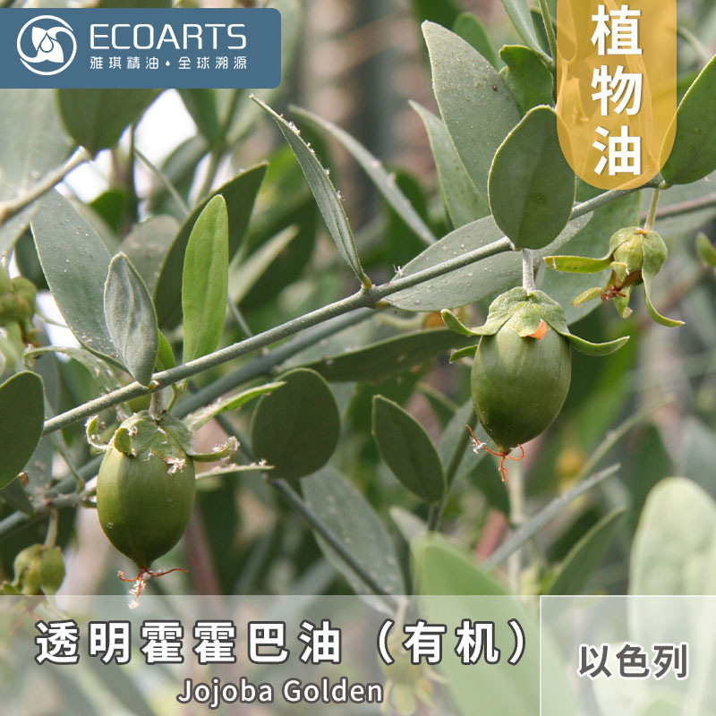 霍霍巴油 进口有机透明荷荷巴油冷压初榨植物油护肤按摩雅琪精油