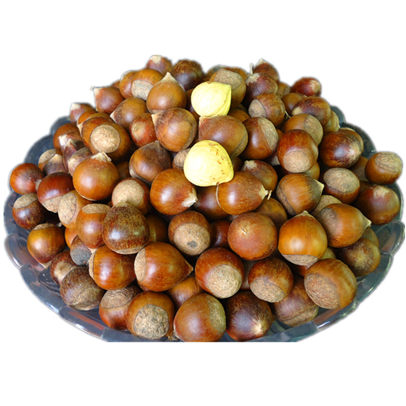 现摘板栗江西生野生新鲜毛栗子迁西小板栗农家小栗子甘栗仁3斤