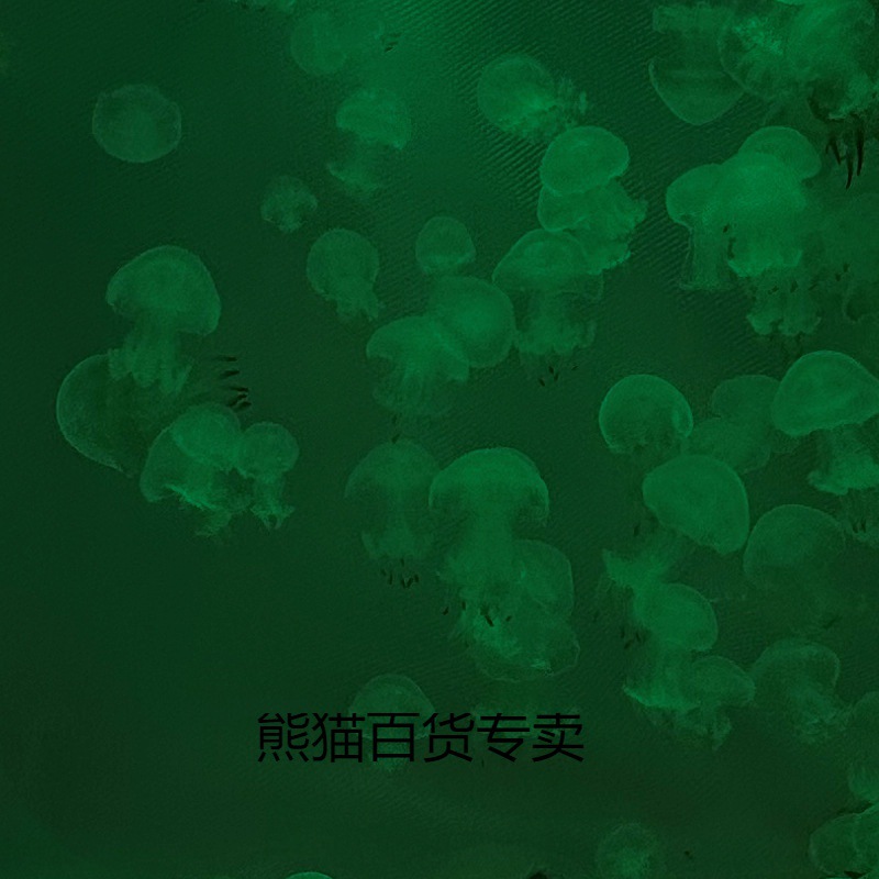 网红夜市摆摊观赏水母活物只赤月小水母宠物水母顺丰包邮-阿里巴巴