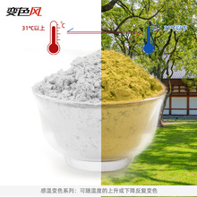 感温材料变色材料变色粉 玩具勺子注塑温变粉 不含BPA感温变色粉