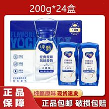 3月产蒙牛纯甄经典原味风味酸奶200g*24盒/箱纯甄酸奶