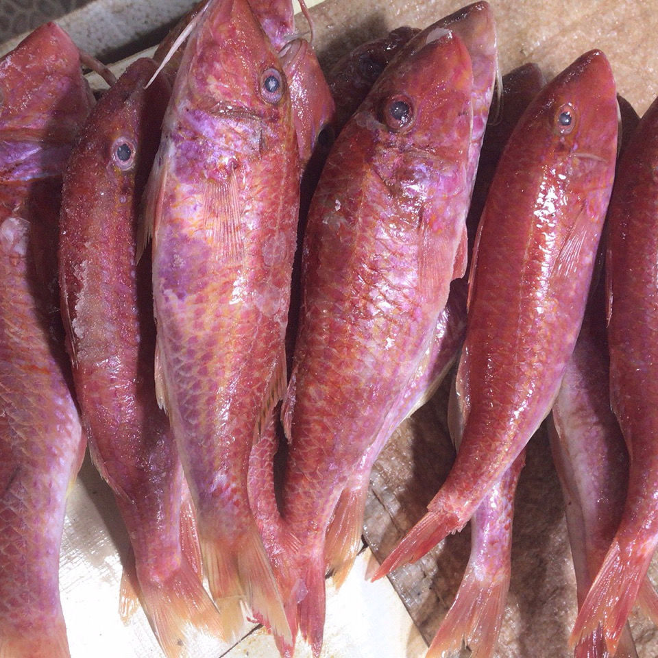 广西北海市微咸味深海小红鱼蜡烛油海味 红中鱼  配粥 下饭