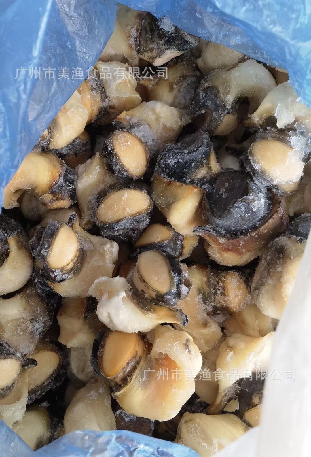 西非海螺头 美国刺身 大海螺肉 刺身大海螺肉响螺头m/l码 15kg/件