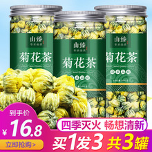 胎菊花茶胎菊王野生明目去火白菊杭花茶肝火旺盛下火