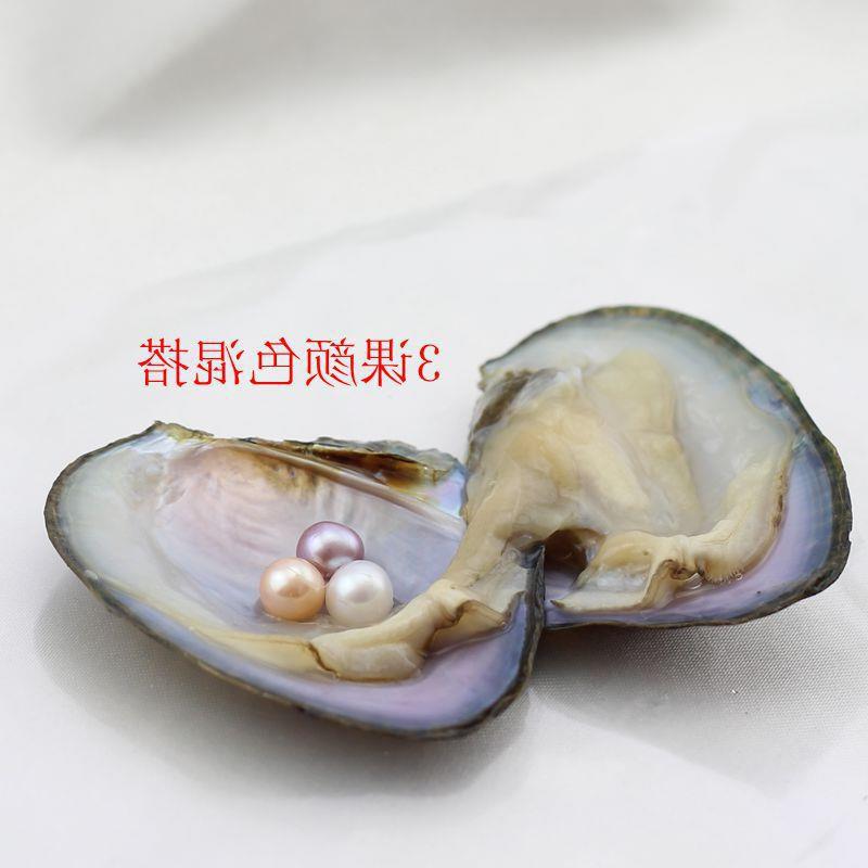 礼品染色圆真珍珠节假日河蚌多颗真空包装促销小淡水珍珠支持其他