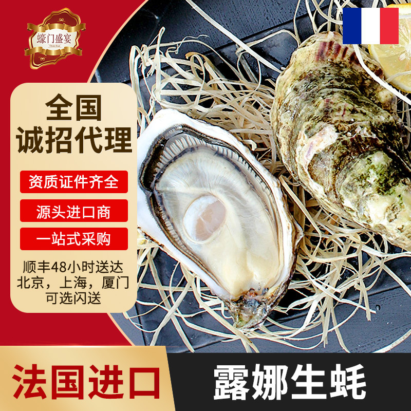 法国n1金珍珠生蚝 刺身食材商用进口生蚝批发 餐厅海鲜鲜活批发