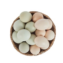 土鸡蛋农家散养新鲜绿壳乌鸡蛋混合装儿童孕妇蛋整箱批发网红