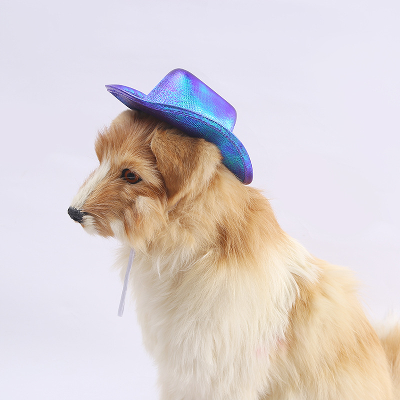 Cross-Border Mini Pet Cowboy Hat European and American Dog Western Cowboy Hat Colorful Pet Decorative Hat Wholesale