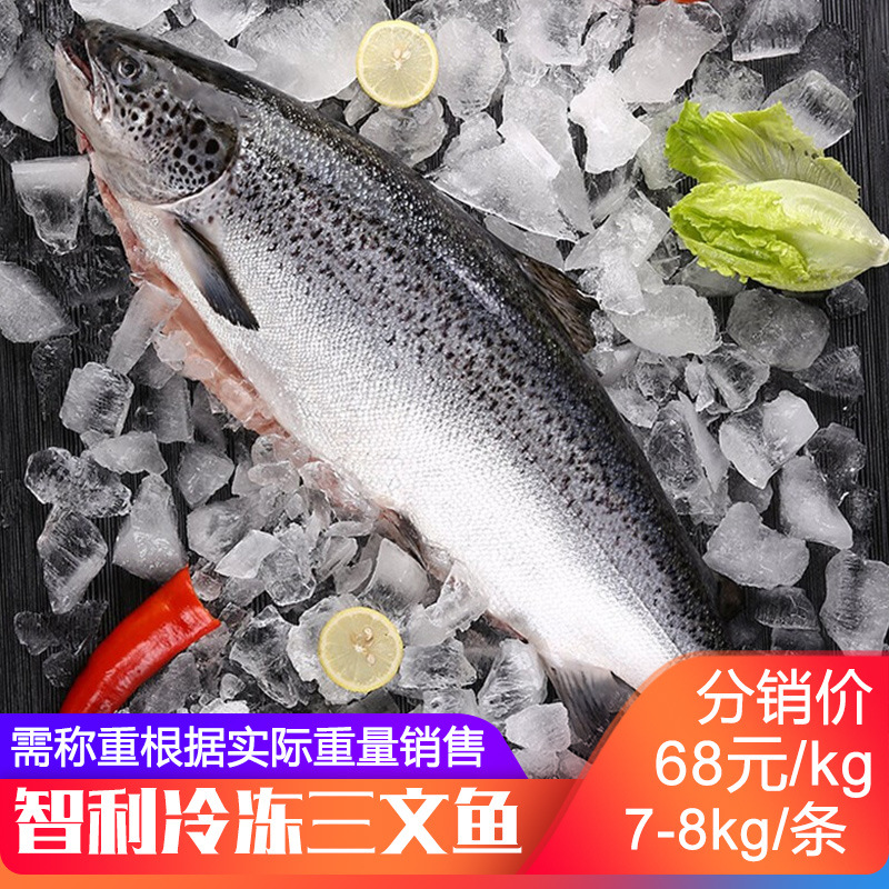 三文鱼整条大西洋鲑鱼日料理刺身寿司食材批发海鲜酒店烟熏辣根