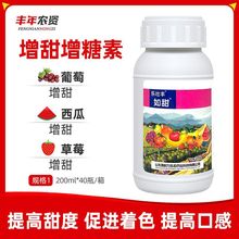 如甜 增甜王葡萄草莓西瓜杨梅甜瓜桃子番茄苹果甜蜜素增糖增甜剂