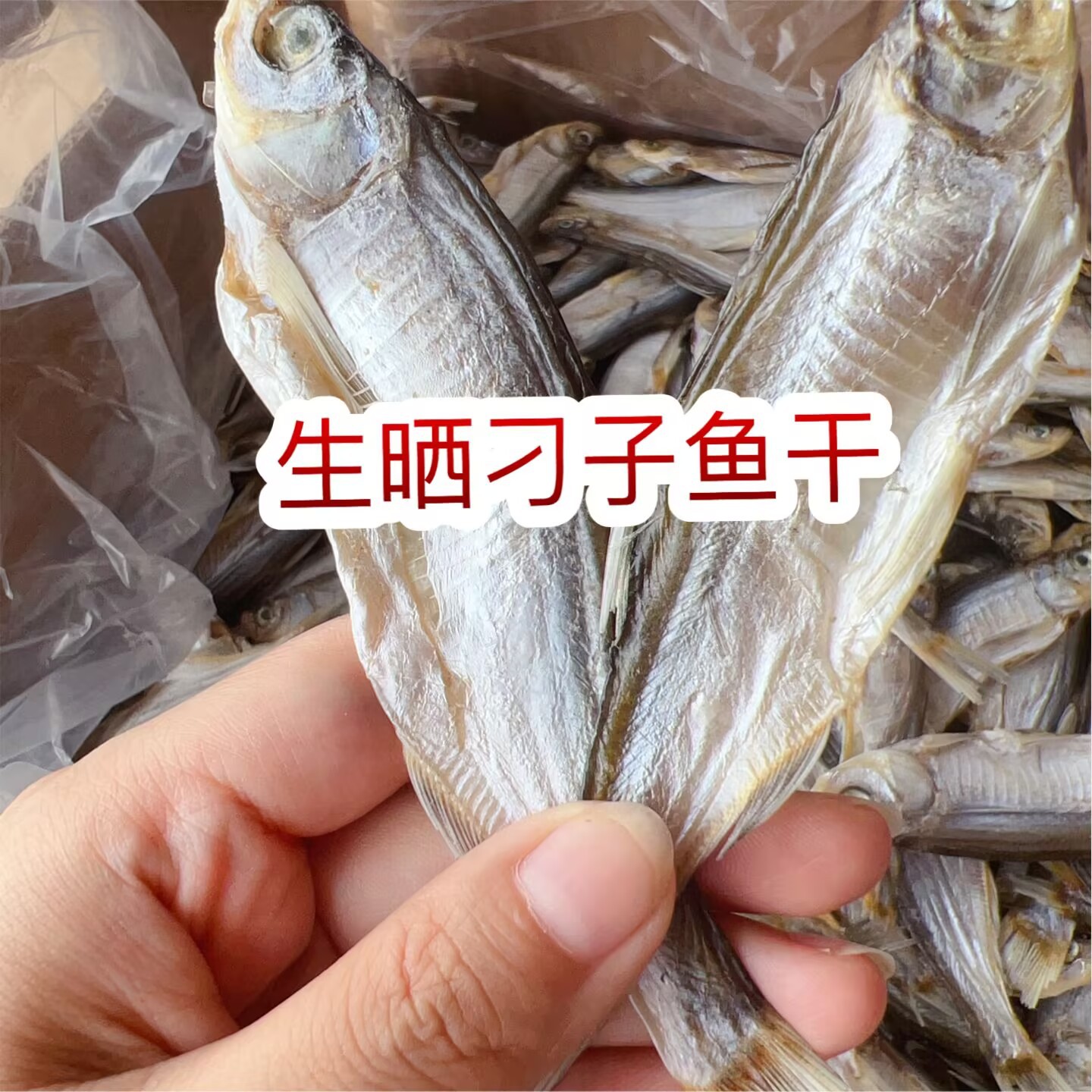 生晒刁子鱼干 展会 地摊 电商 开肚白条鱼干 餐条鱼干 翘嘴鱼干