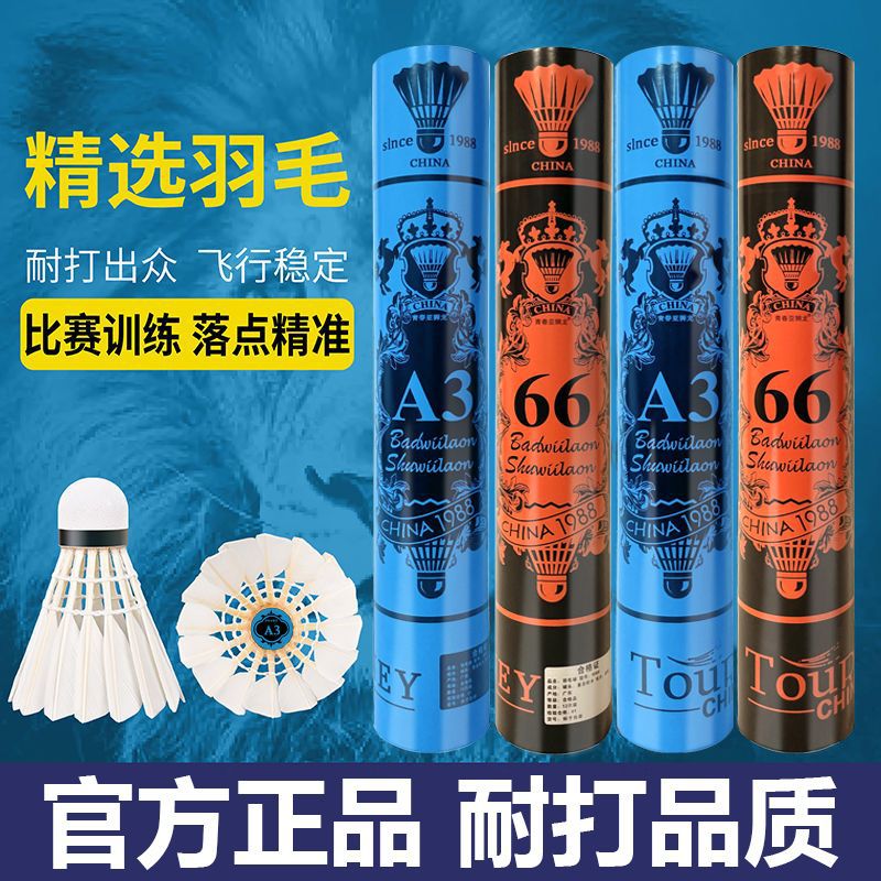 青春亚狮龙66/a3号4/5号耐打王稳定防风训练比赛耐用12只装打不烂