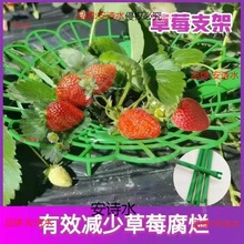 草莓种植架草莓支架子草莓苗太阳花架盆栽草莓神器防腐烂果实支撑