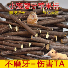 仓鼠磨牙磨牙棒枝甜竹兔子小龙猫专用木金丝熊补钙树枝枝厂家直销
