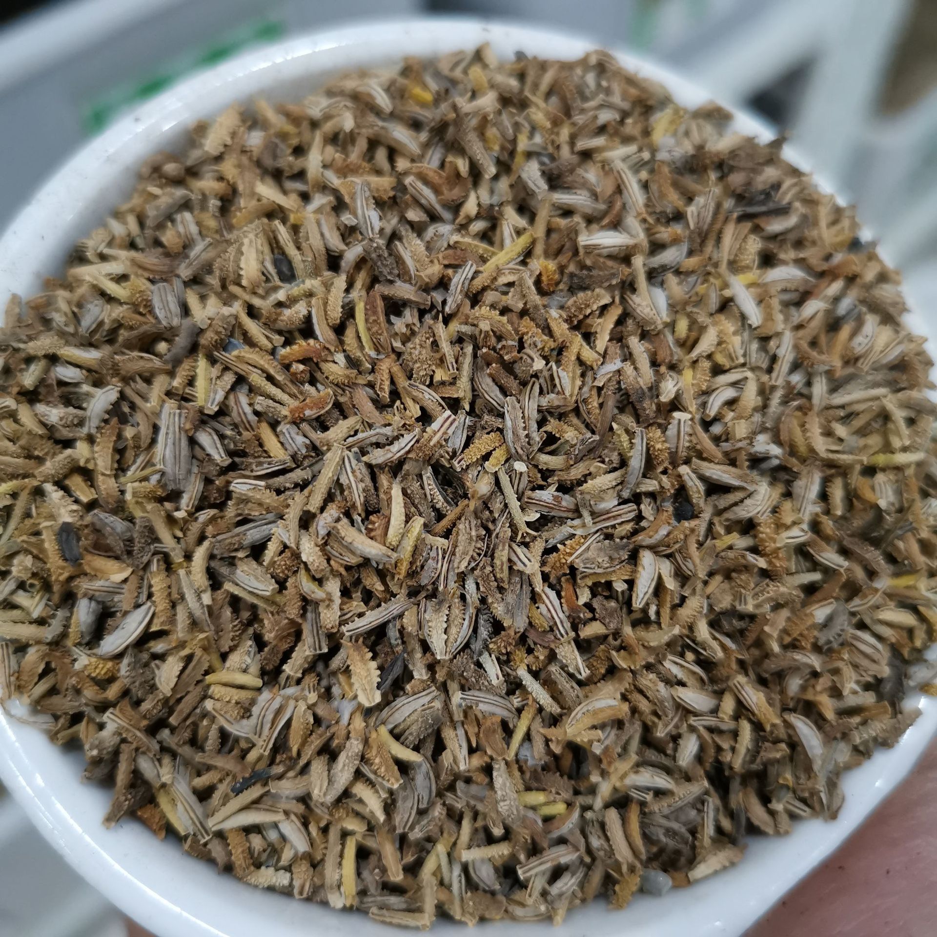 批发进口牛舌草种子 蝎子草 华丽景天 长药景天 南非牛舌草