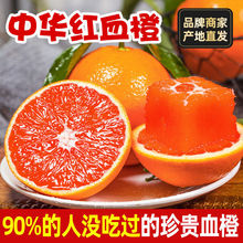 血橙橙中贵族中华红橙湖北秭归脐橙新鲜橙子水果当季非塔罗科网红