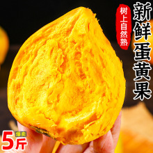 黄金百香果新鲜包邮5斤大果孕妇水果当季整箱黄色甜黄皮鸡蛋果