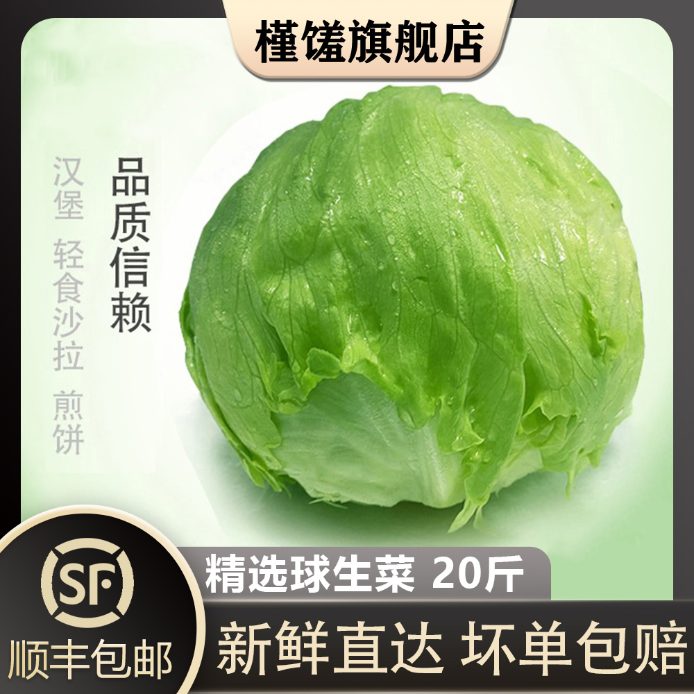 【槿馐】球生菜20斤装汉堡新鲜现采蔬菜沙拉食材轻食球形圆西生菜