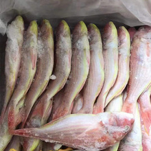 红三鱼金线鱼深海活体新鲜海鲜冰鲜活海鱼红杉鱼海钓批发海鲜水产