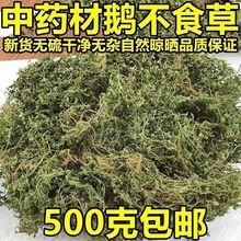 鹅不食草中药材鹅不吃草新鲜干草粉末非野生鹅不食饿不食草正品