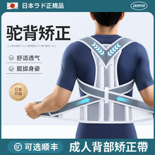 日本品牌驼背矫正器成人男女脊柱背部侧弯拉伸矫姿带老人矫正