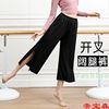 China modern classical dance Practice pants Paige Easy Body trousers adult modal Nine points Wide leg pants