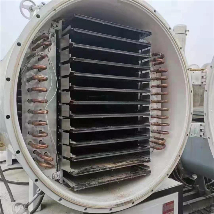 海鲜水产品鲍鱼冷冻干燥机 鲍鱼粉海鲜冻干机 食品真空冷冻干燥机