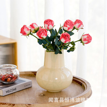 现代简约花瓶ins风玻璃高级感家居桌面水培鲜花郁金香装饰摆件